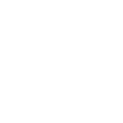 Happiness Icon