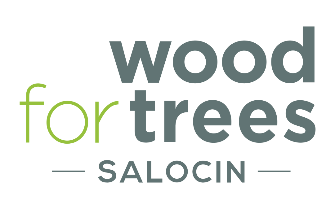 Edit Agency Ltd Acquires Wood for Trees