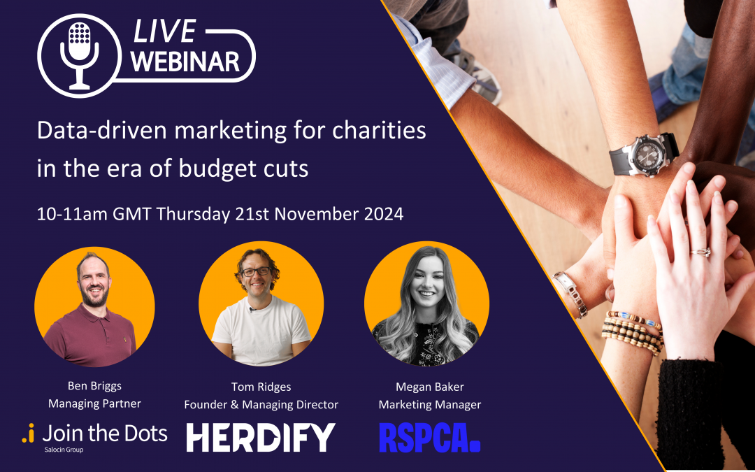 Data-driven marketing for charities in the era of budget cuts