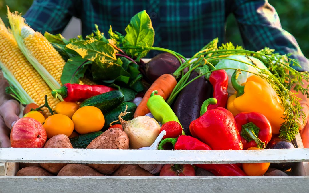 Growing veg (boxes)